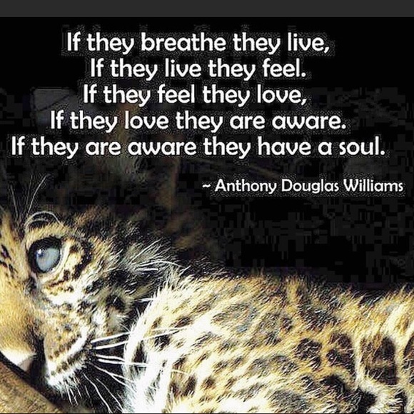 🎉HP🎉”Home is Where the Dog Is, Love” Double-Sided Garden Flag, New Tags Sealed - Picture 10 of 10